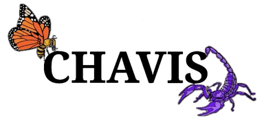 CHAVIS Logo