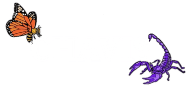 CHAVIS Logo